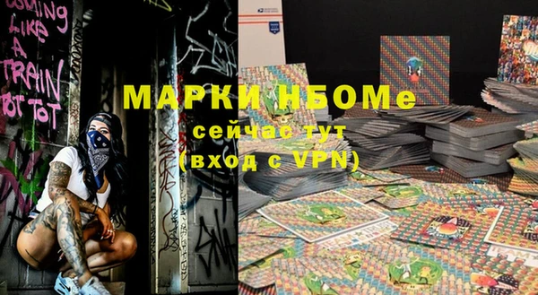 МДПВ Богородск