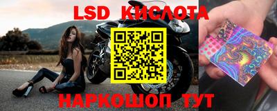 кокс Гусев