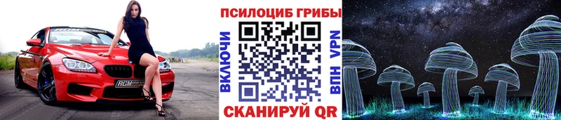 Псилоцибиновые грибы Psilocybe  blacksprut   Кохма  хочу  