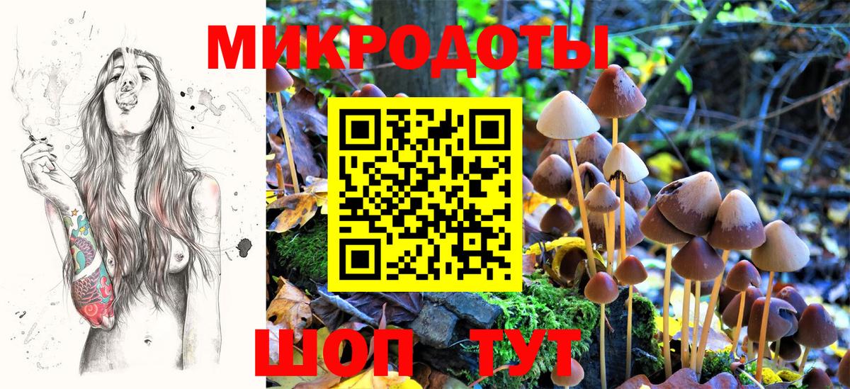 Псилоцибиновые грибы мухоморы Кохма